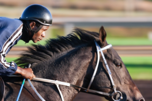 Lire la suite à propos de l’article Maximiser ses gains grace a une analyse methodique des courses hippiques